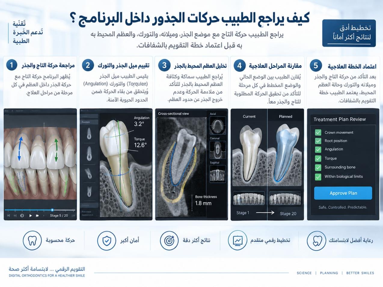 كيف يراجع الطبيب حركات الجذور داخل البرنامج؟